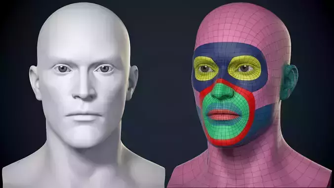 Male Head Basemesh - Game Ready Low-poly 3D model