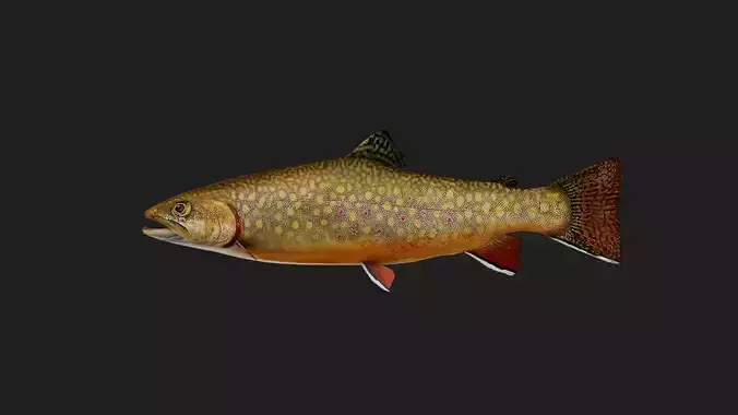 BrookTrout Low-poly 3D model