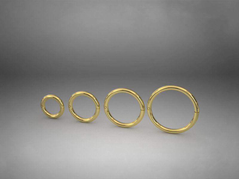 Pac 4 sizes Segment ear and nose ring Piercing Helix ear nose 3D print model_4