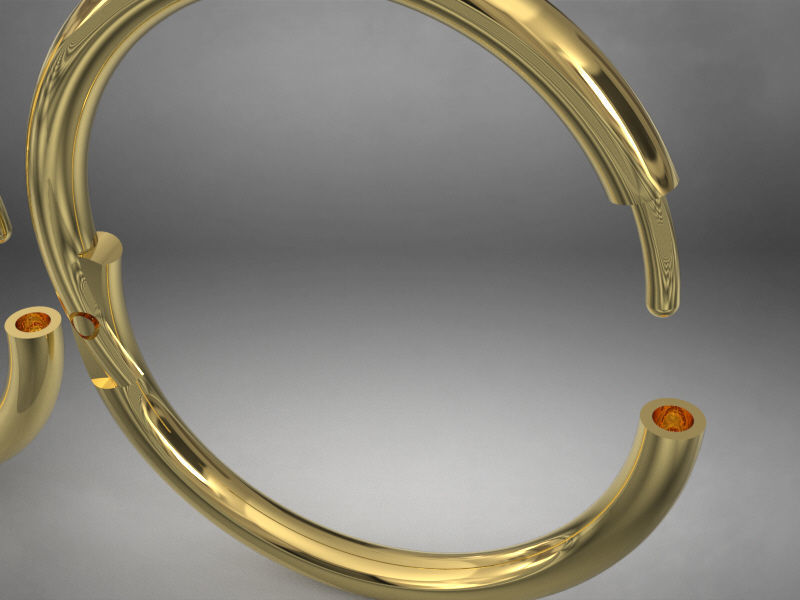 Pac 4 sizes Segment ear and nose ring Piercing Helix ear nose 3D print model_3