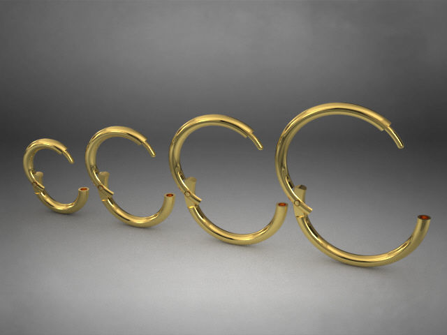 Pac 4 sizes Segment ear and nose ring Piercing Helix ear nose 3D print model_2