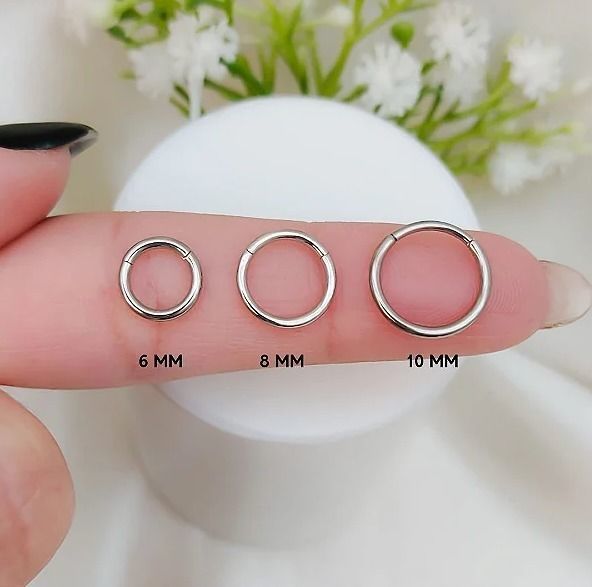 Pac 4 sizes Segment ear and nose ring Piercing Helix ear nose 3D print model_1