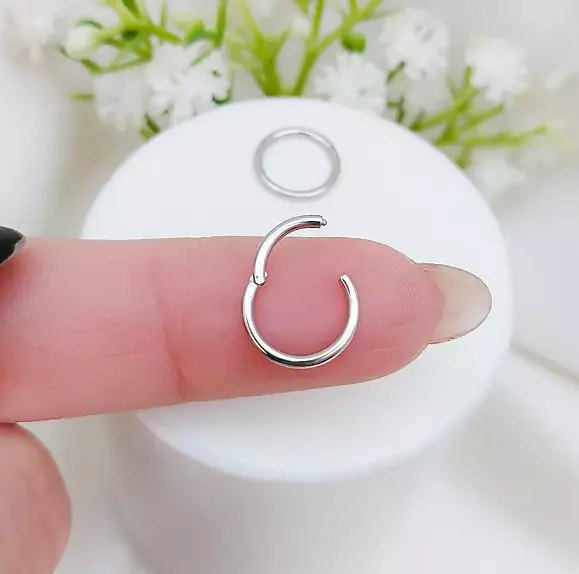 Pac 4 sizes Segment ear and nose ring Piercing Helix ear nose 3D print model_0