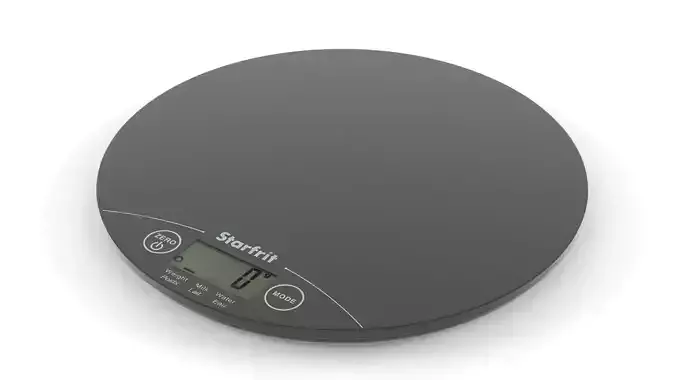 Digital Scale 3D model