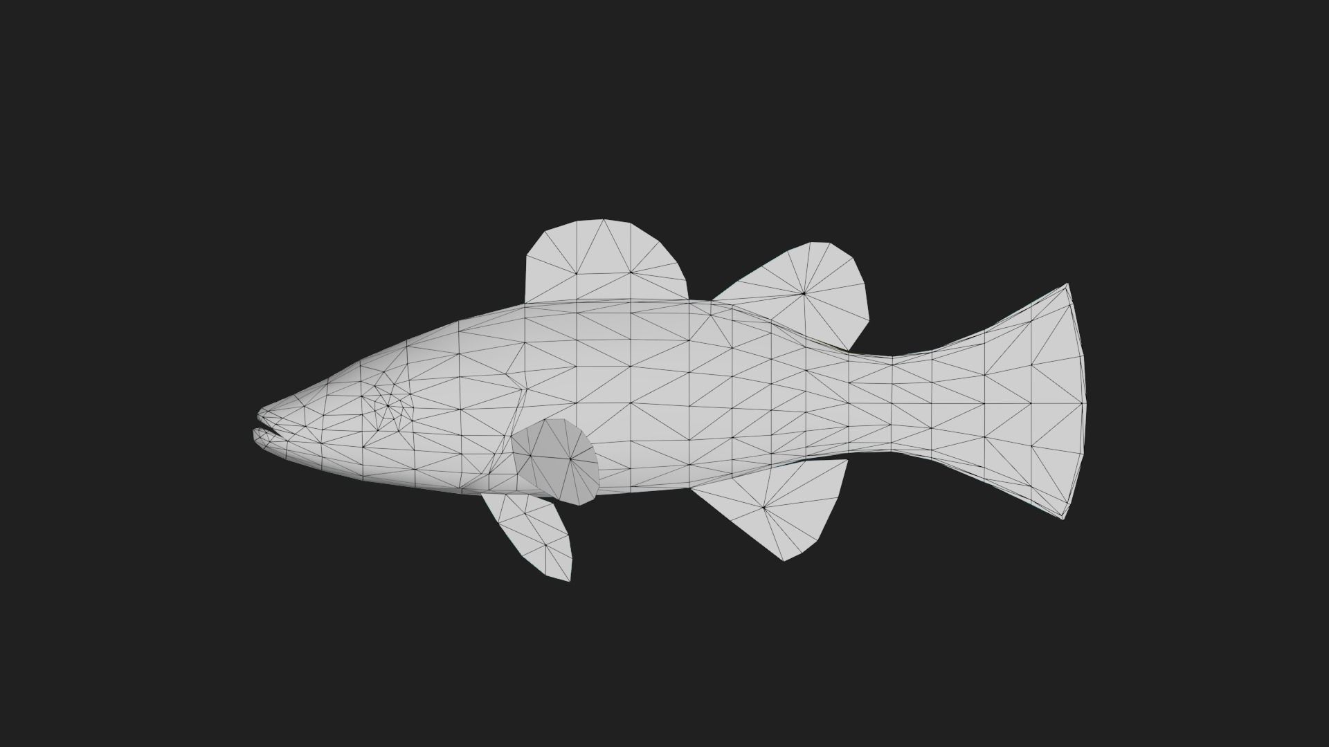 Serranidae Low-poly 3D model_1