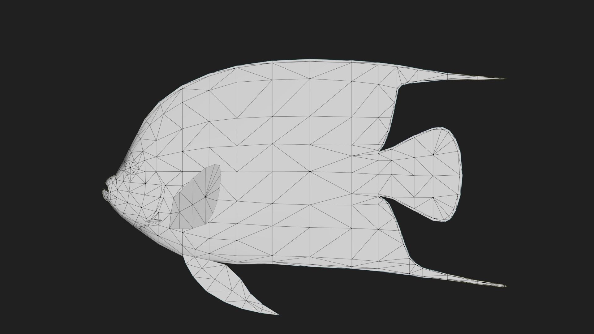 Angelfish Low-poly 3D model_1