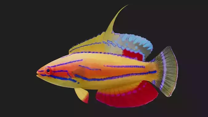 Wrasse Low-poly 3D model