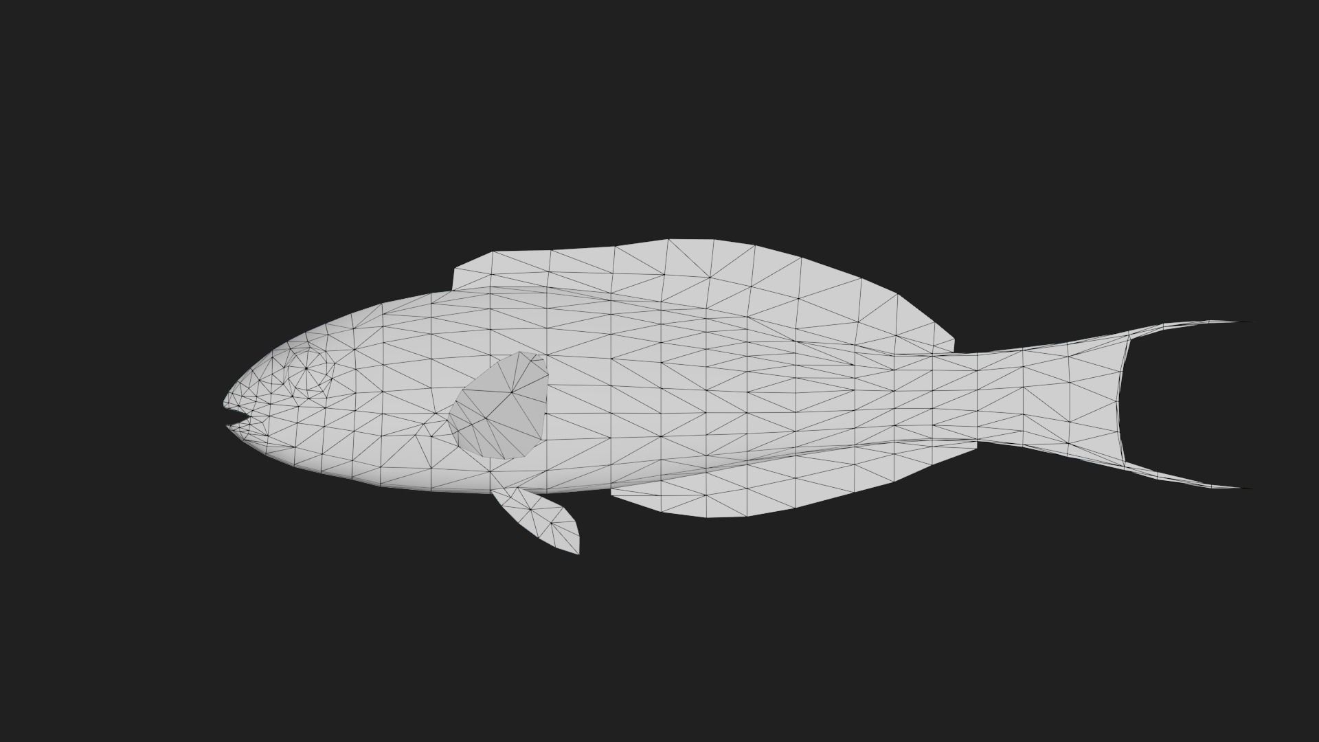 Wrasse Low-poly 3D model_1