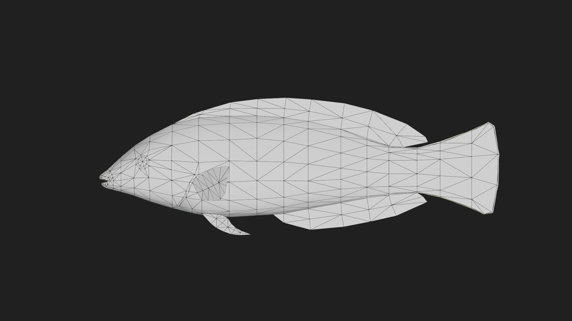 Wrasse Low-poly 3D model_1