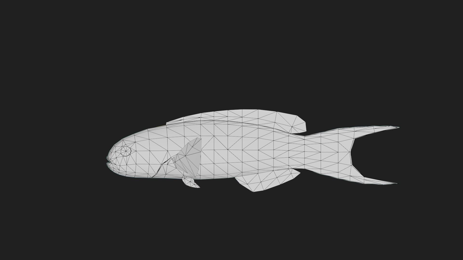 Wrasse Low-poly 3D model_1