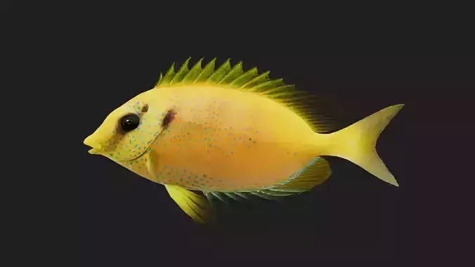 Spinefoot Low-poly 3D model