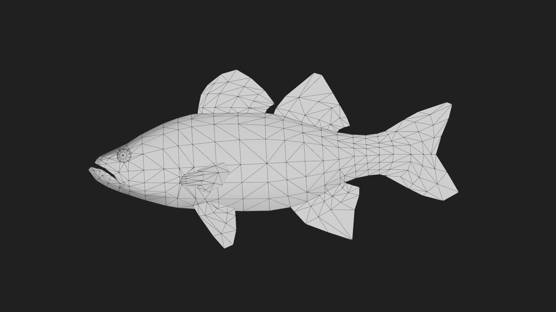 Whitebass Low-poly 3D model_1