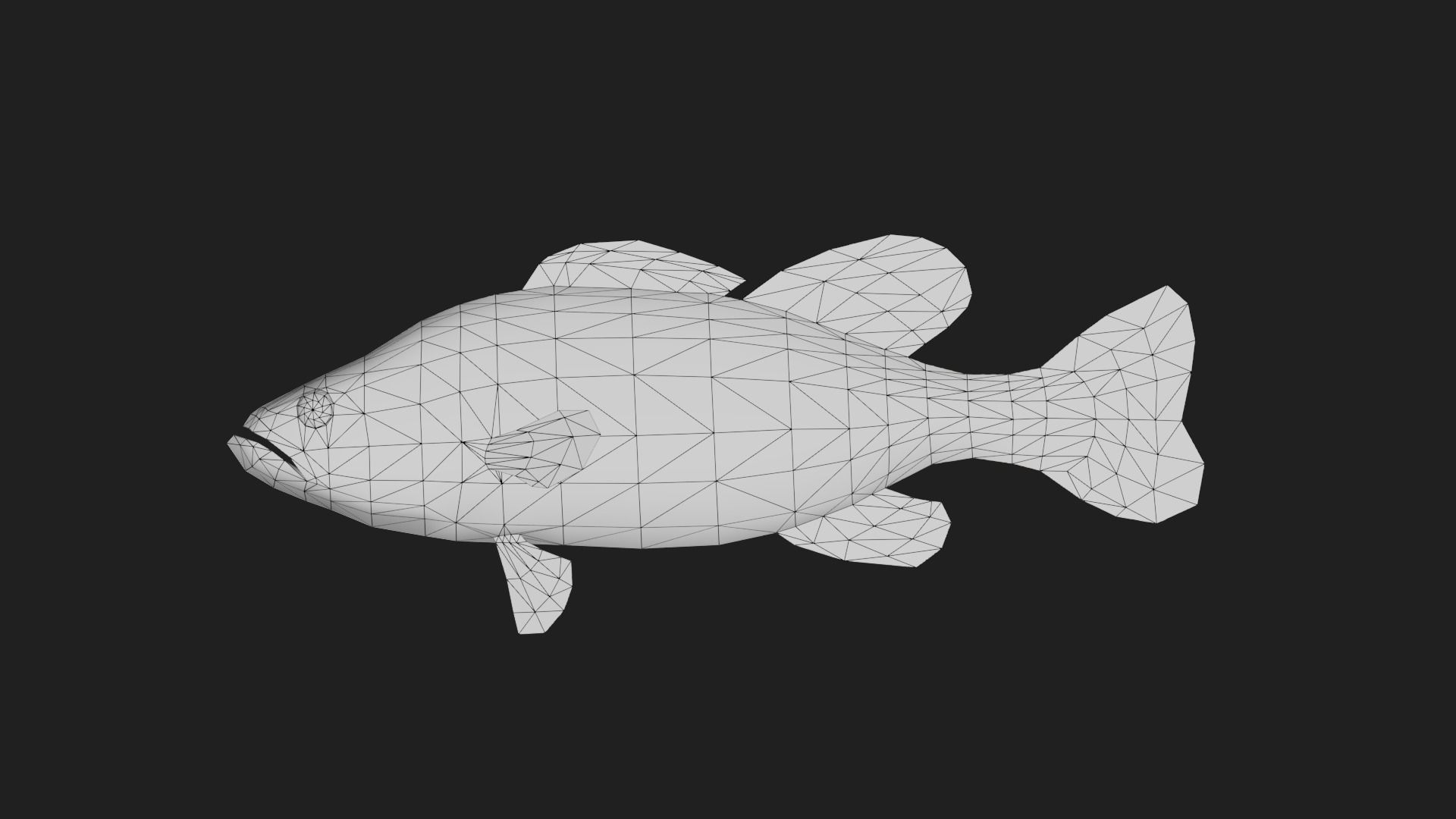Spottedbass Low-poly 3D model_1