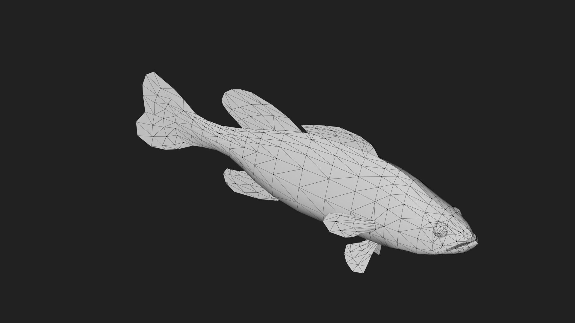 Spottedbass Low-poly 3D model_3