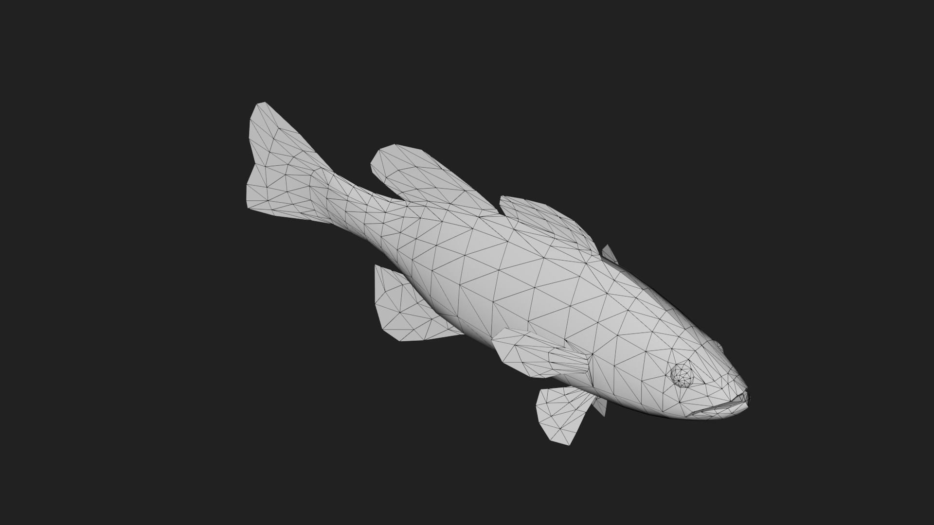 Smallmouthbass Low-poly 3D model_5
