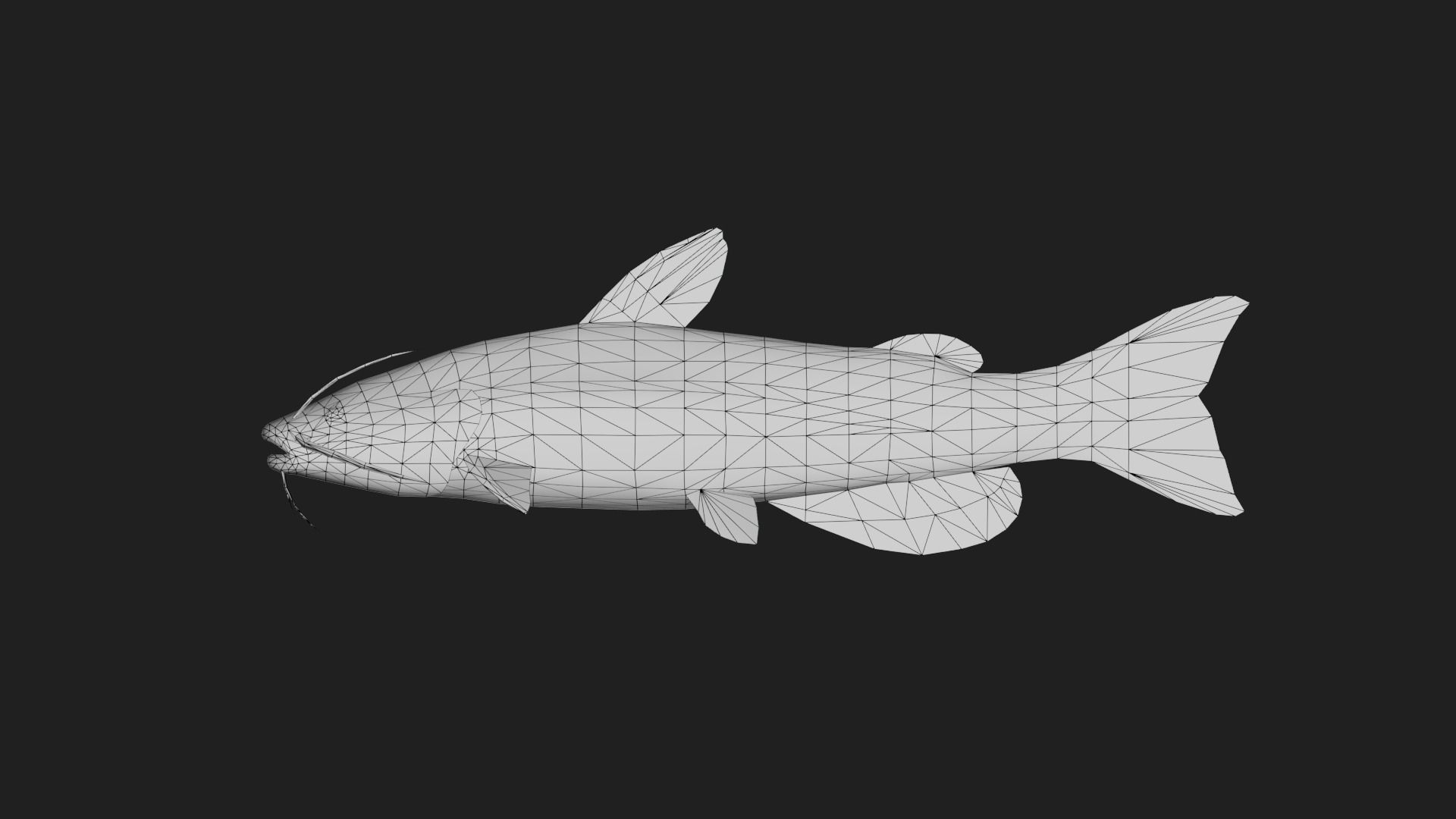 Catfish Low-poly 3D model_1