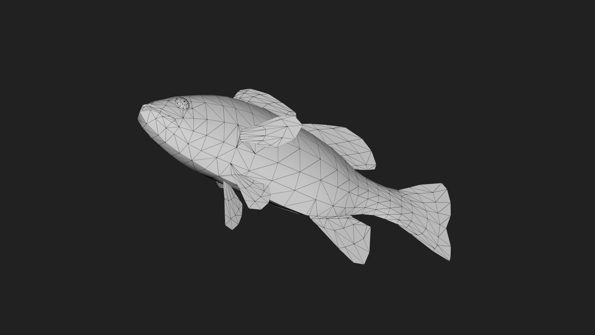 Smallmouthbass Low-poly 3D model_3