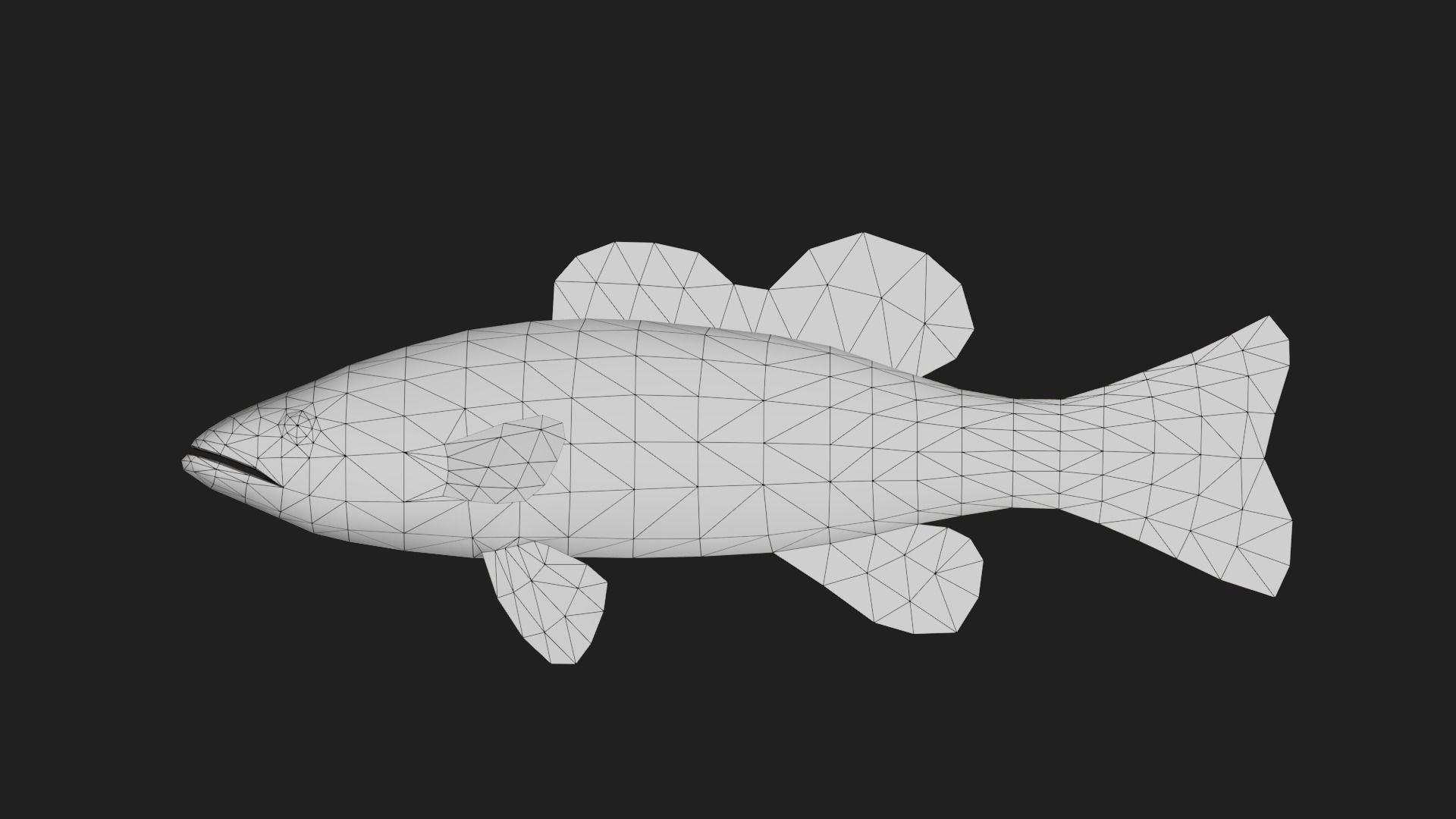Seabass Low-poly 3D model_1