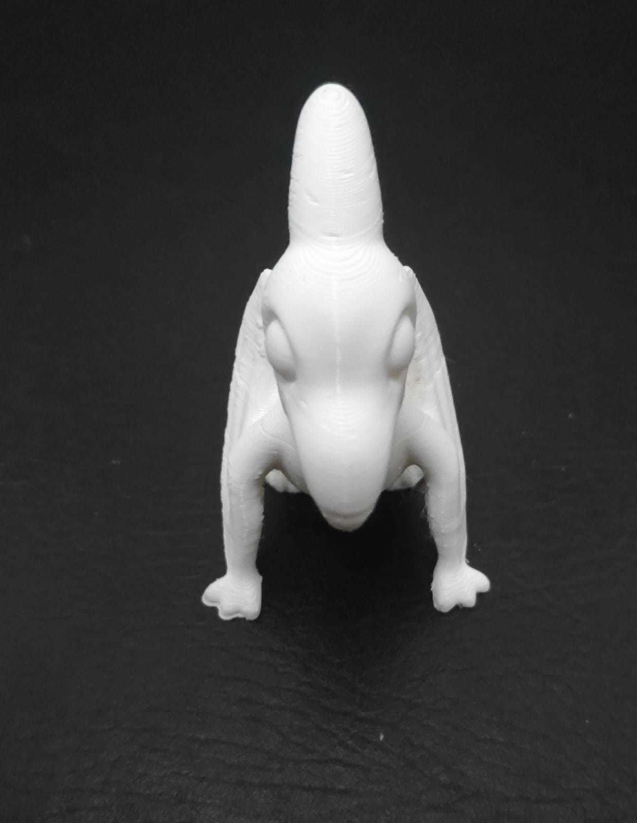 Pteranodon 3D print model_14