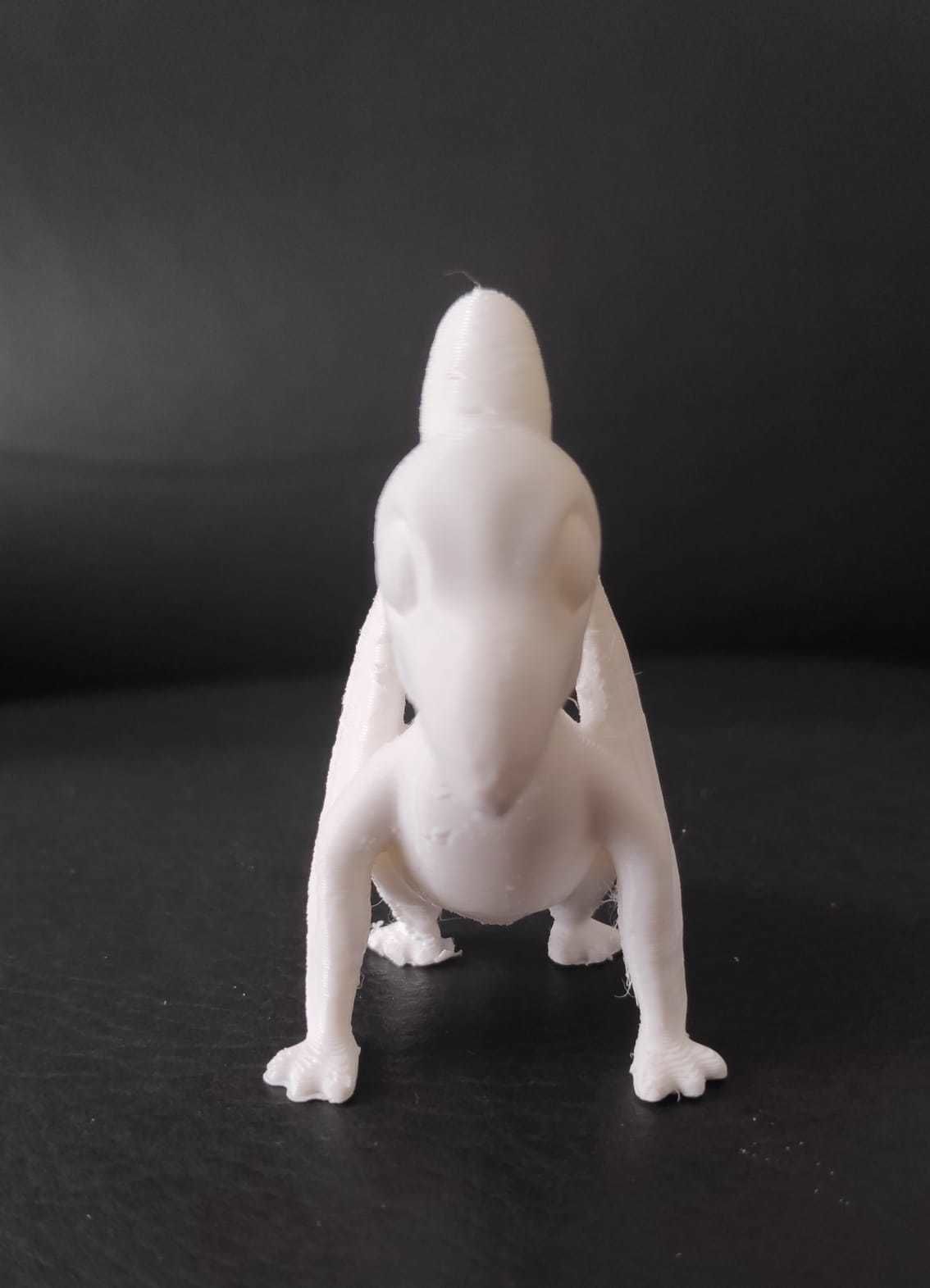 Pteranodon 3D print model_12