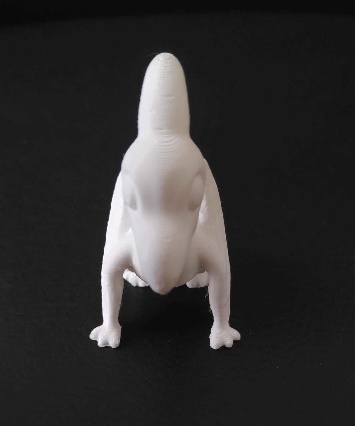 Pteranodon 3D print model_13