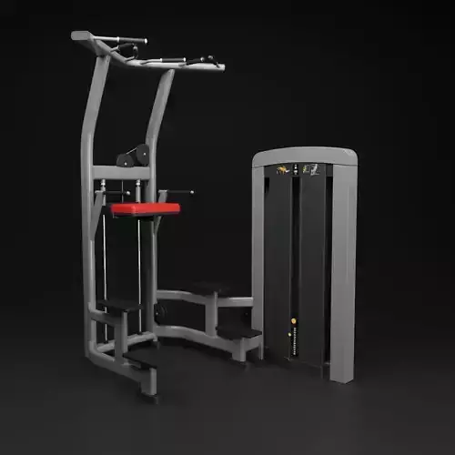 ASSIST DIP INSIGNIA EQUIPAMENT