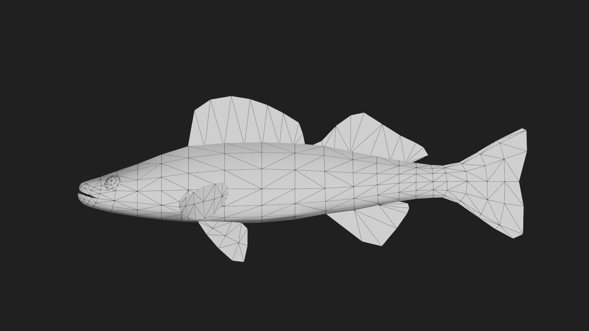 Walleye Low-poly 3D model_1