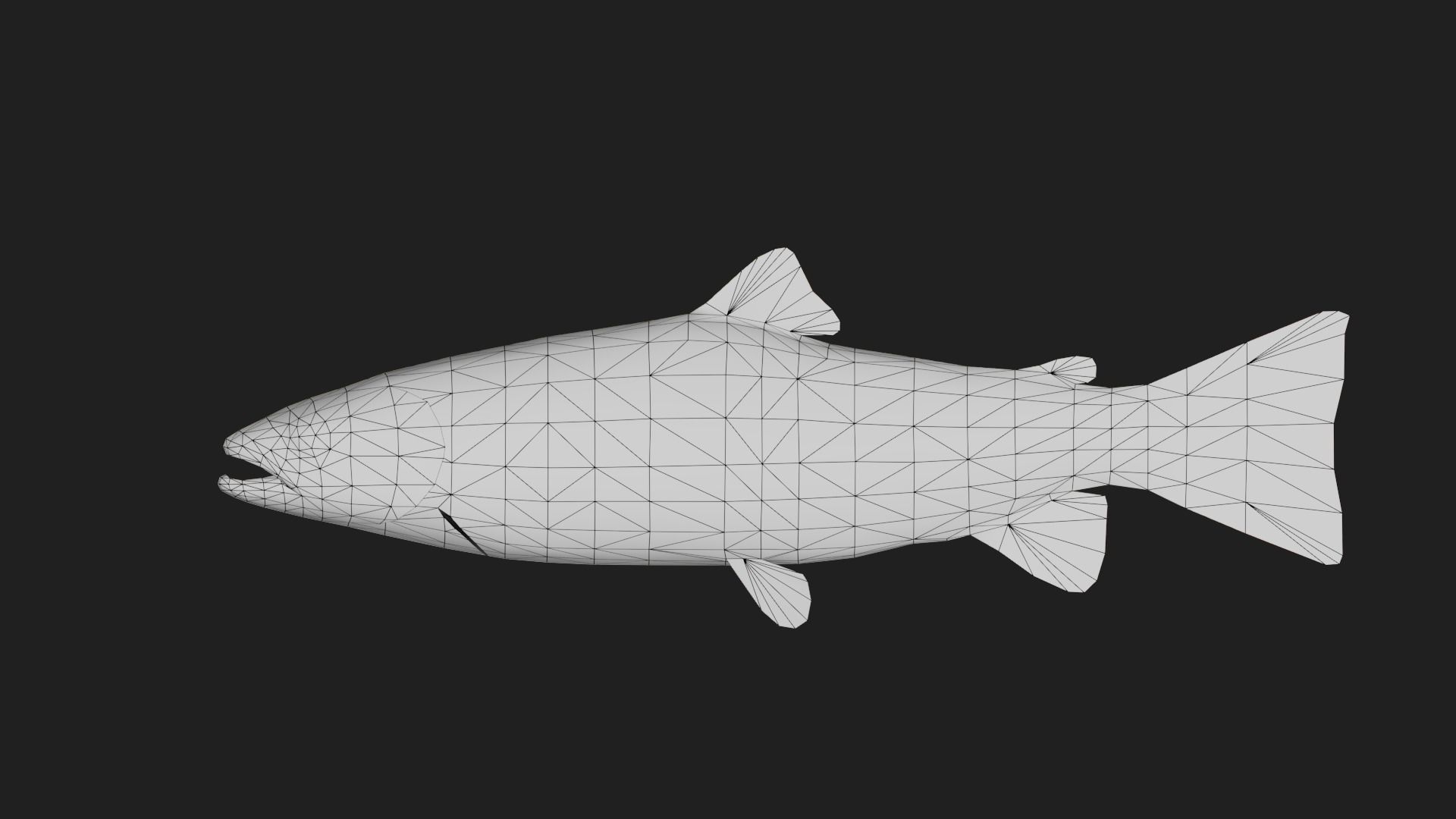 Trout Low-poly 3D model_1