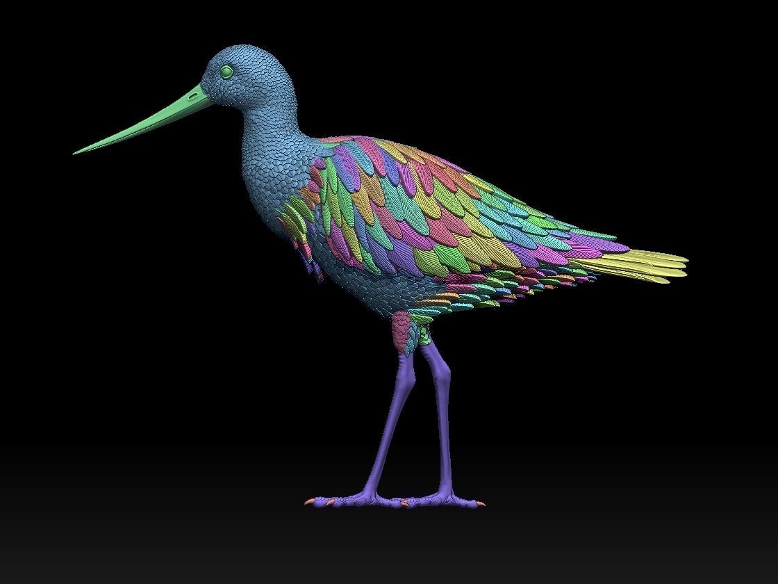 bird 06 3D print model_6