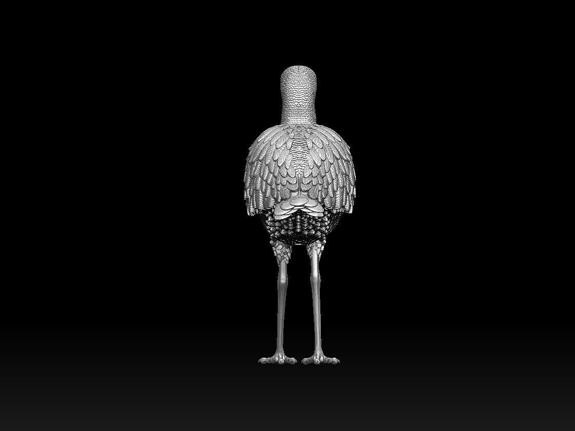 bird 06 3D print model_12