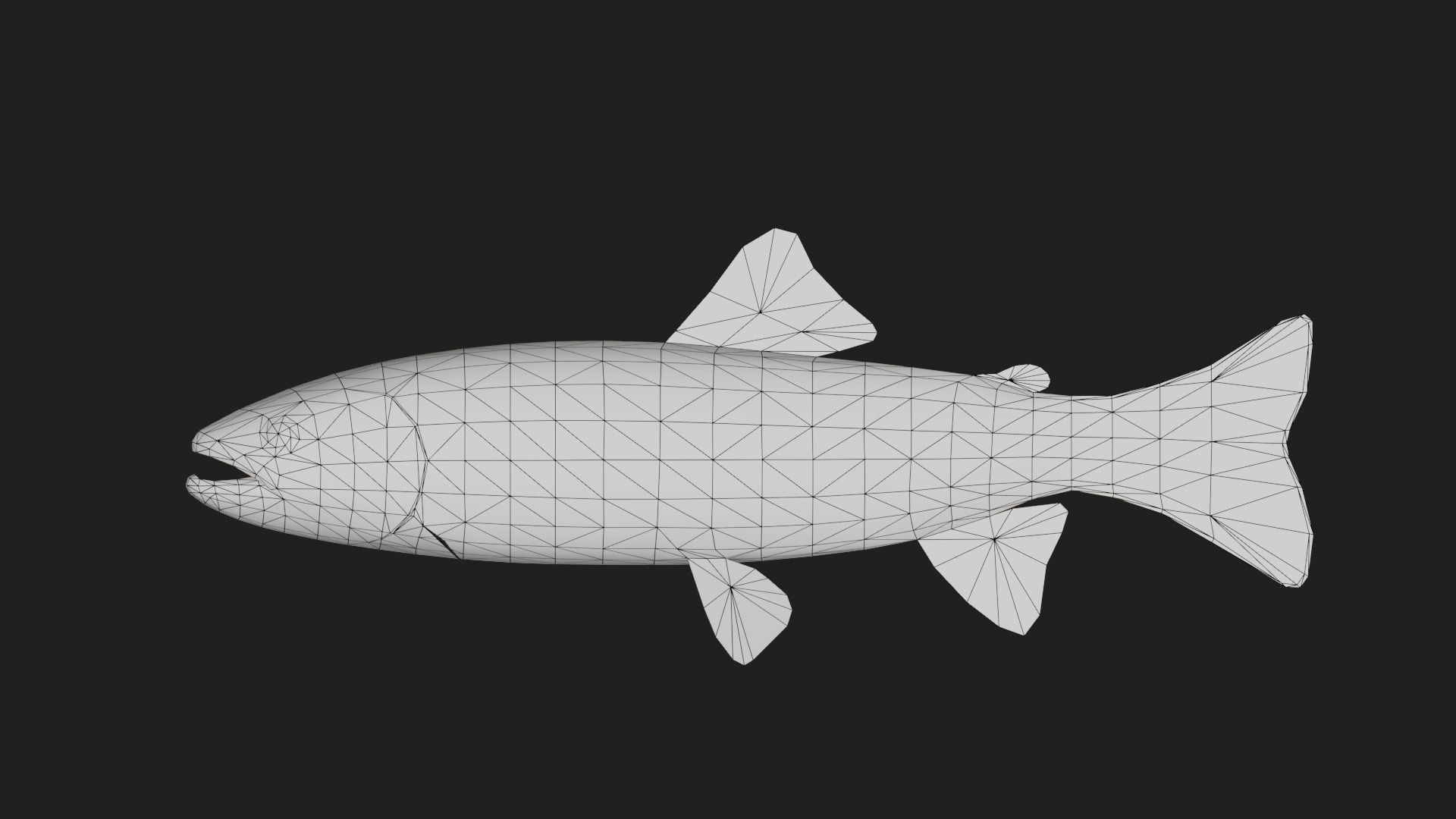Trout Low-poly 3D model_1