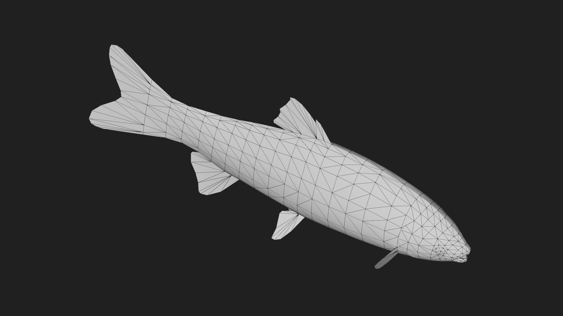 GrassCarp Low-poly 3D model_3