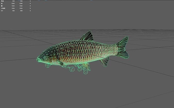 GrassCarp Low-poly 3D model 7