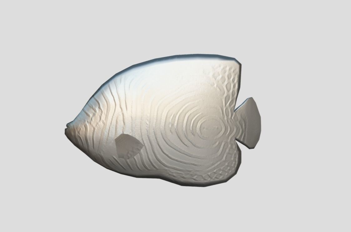 Emperor Angelfish Realistic Animated Low-poly 3D model_2