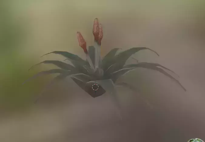 cactus star tree Low-poly 3D model