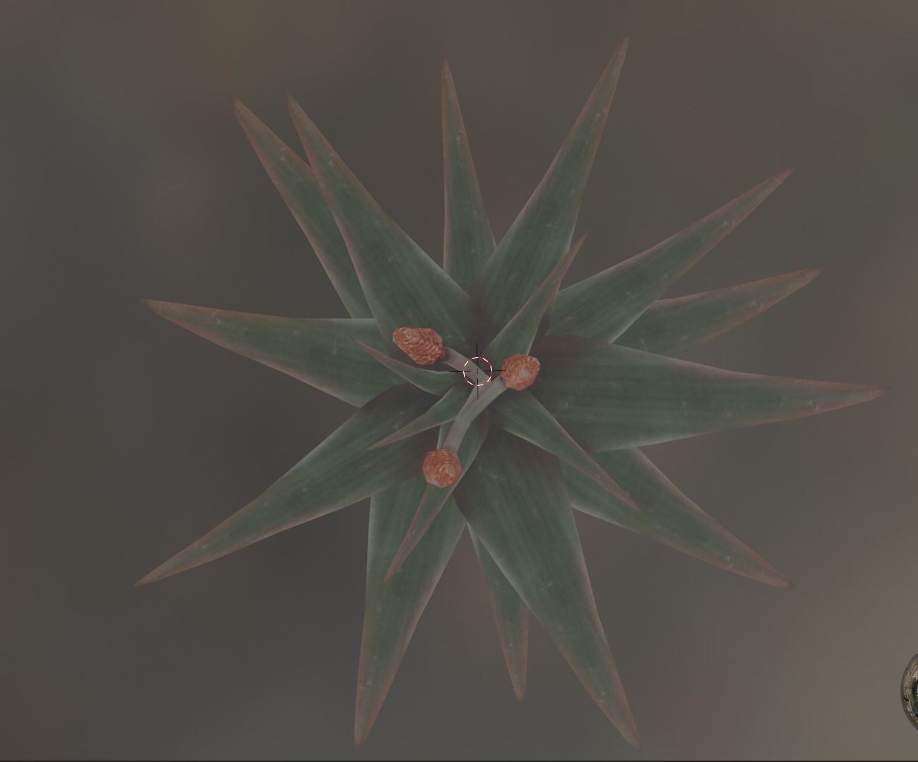 cactus star tree Low-poly 3D model_2
