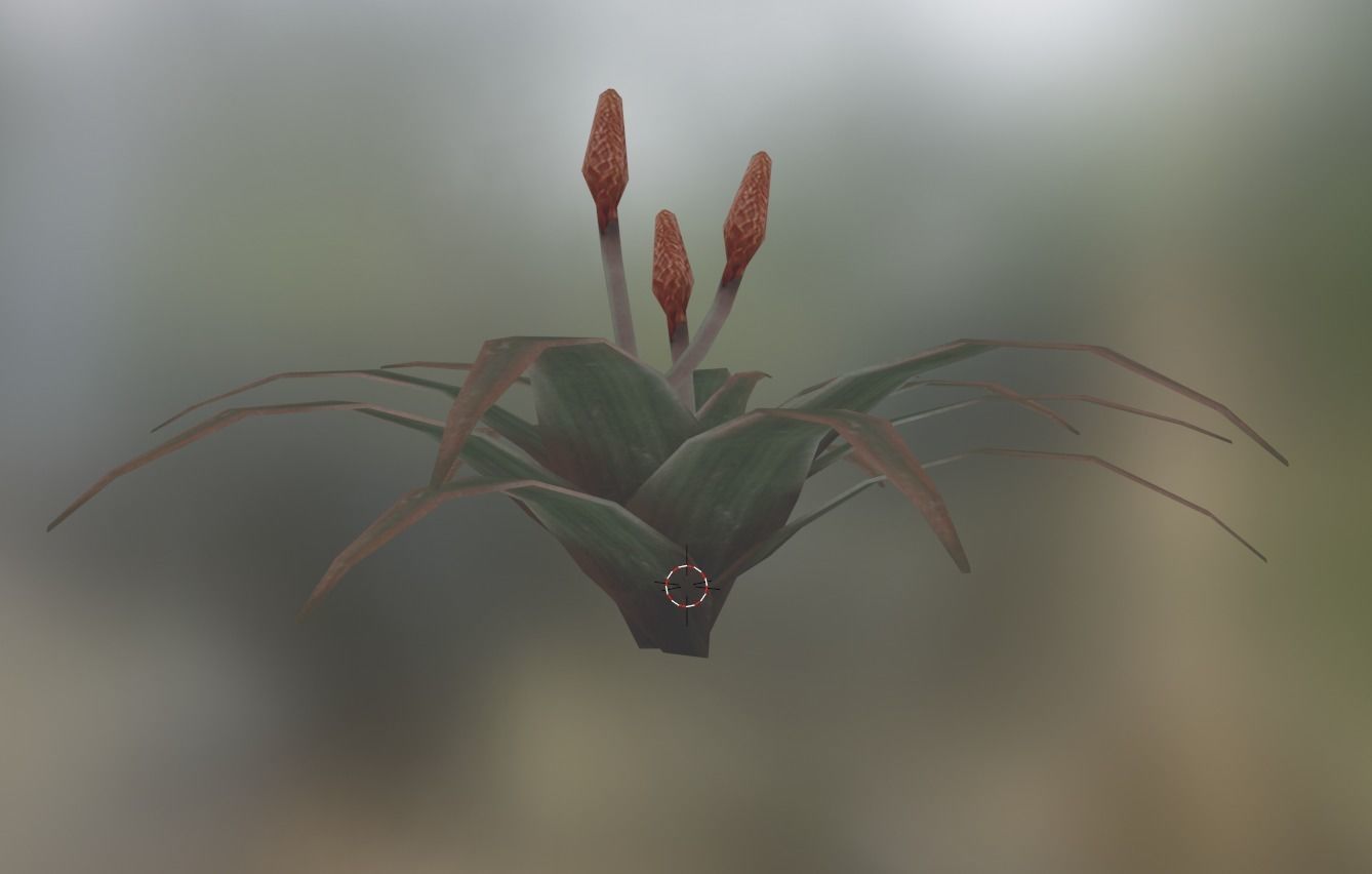 cactus star tree Low-poly 3D model_3