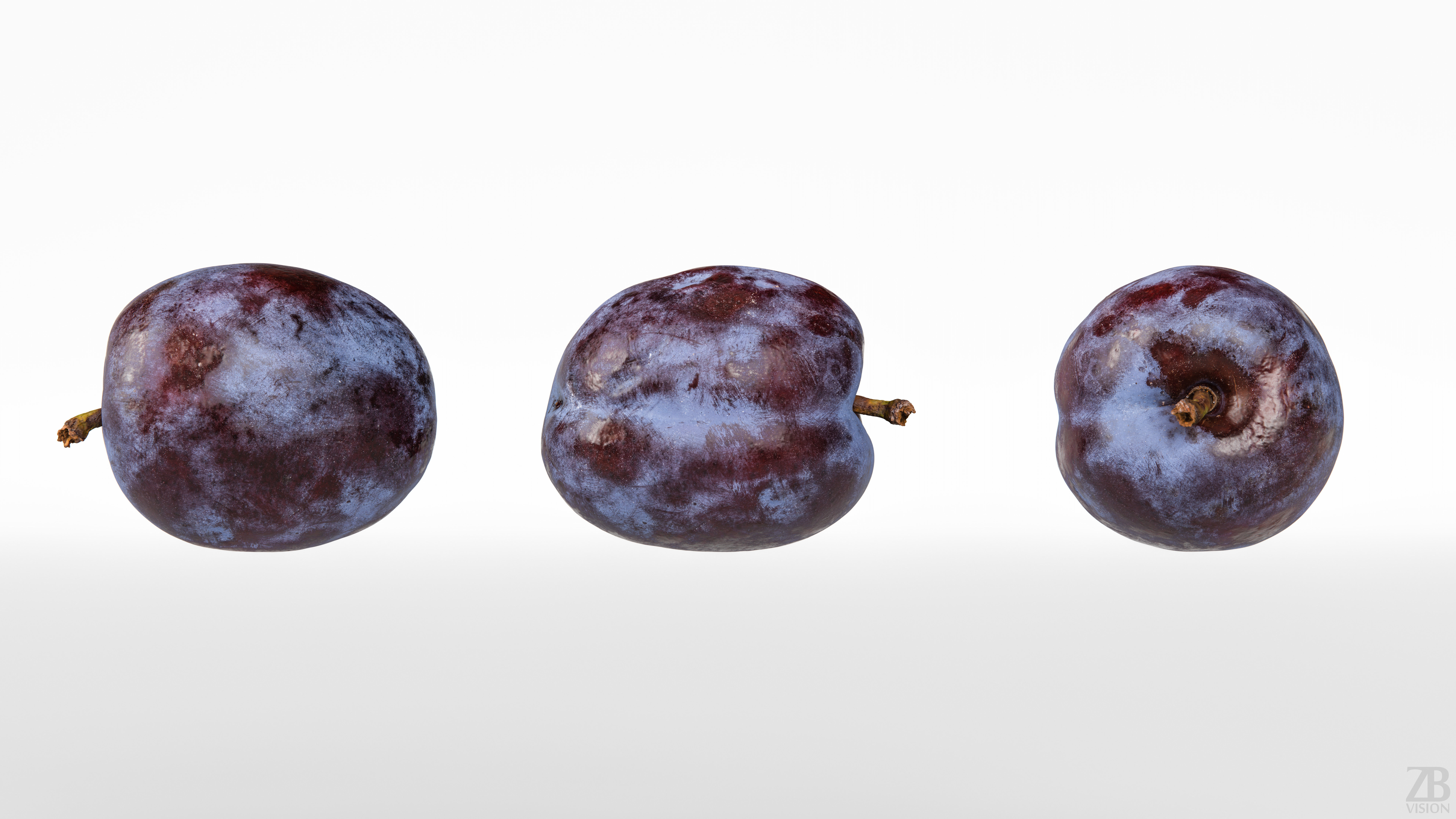 Plum  3D model_4