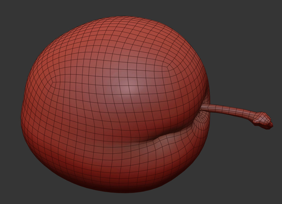 Plum  3D model_6