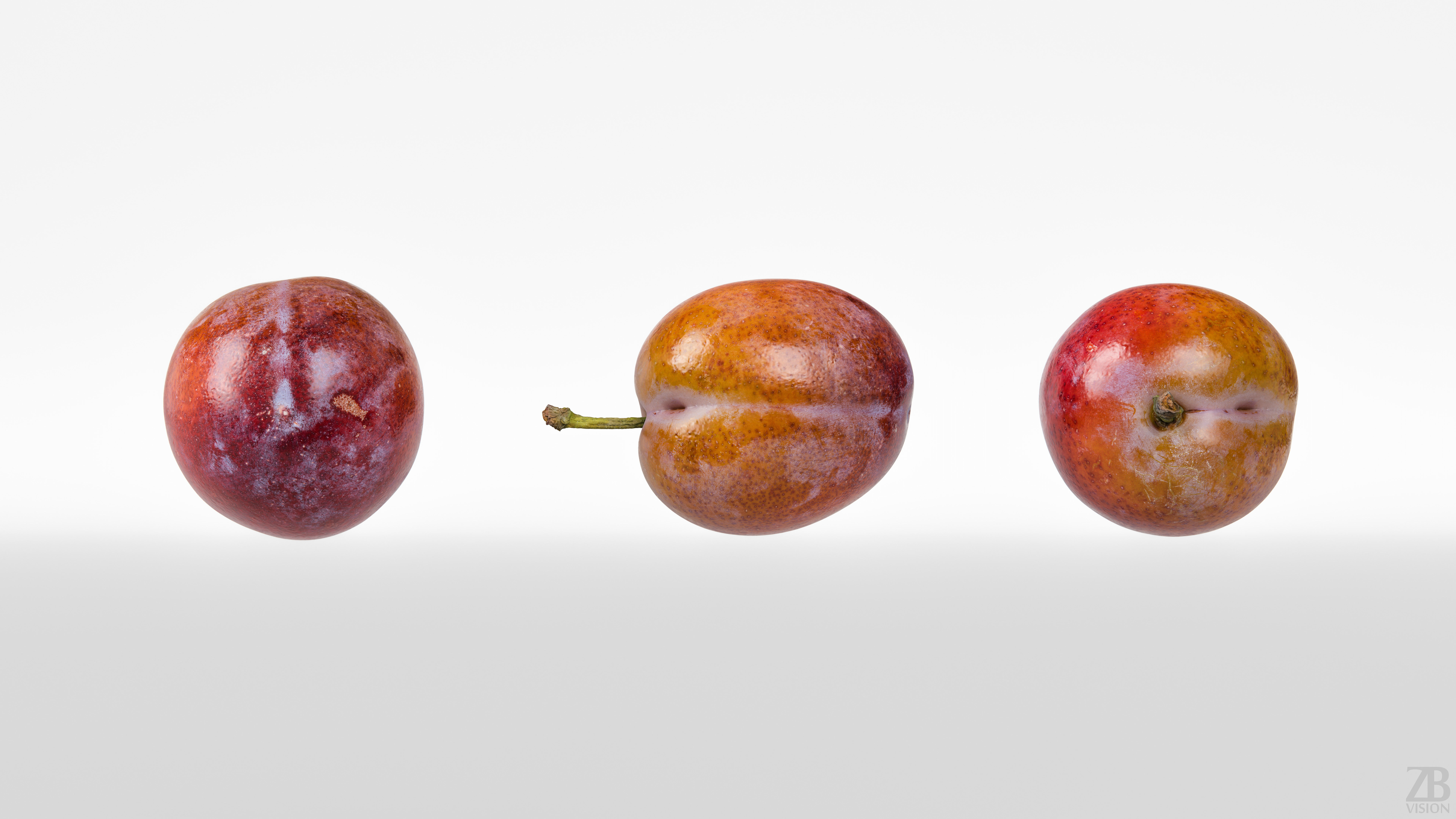 Plum  3D model_4