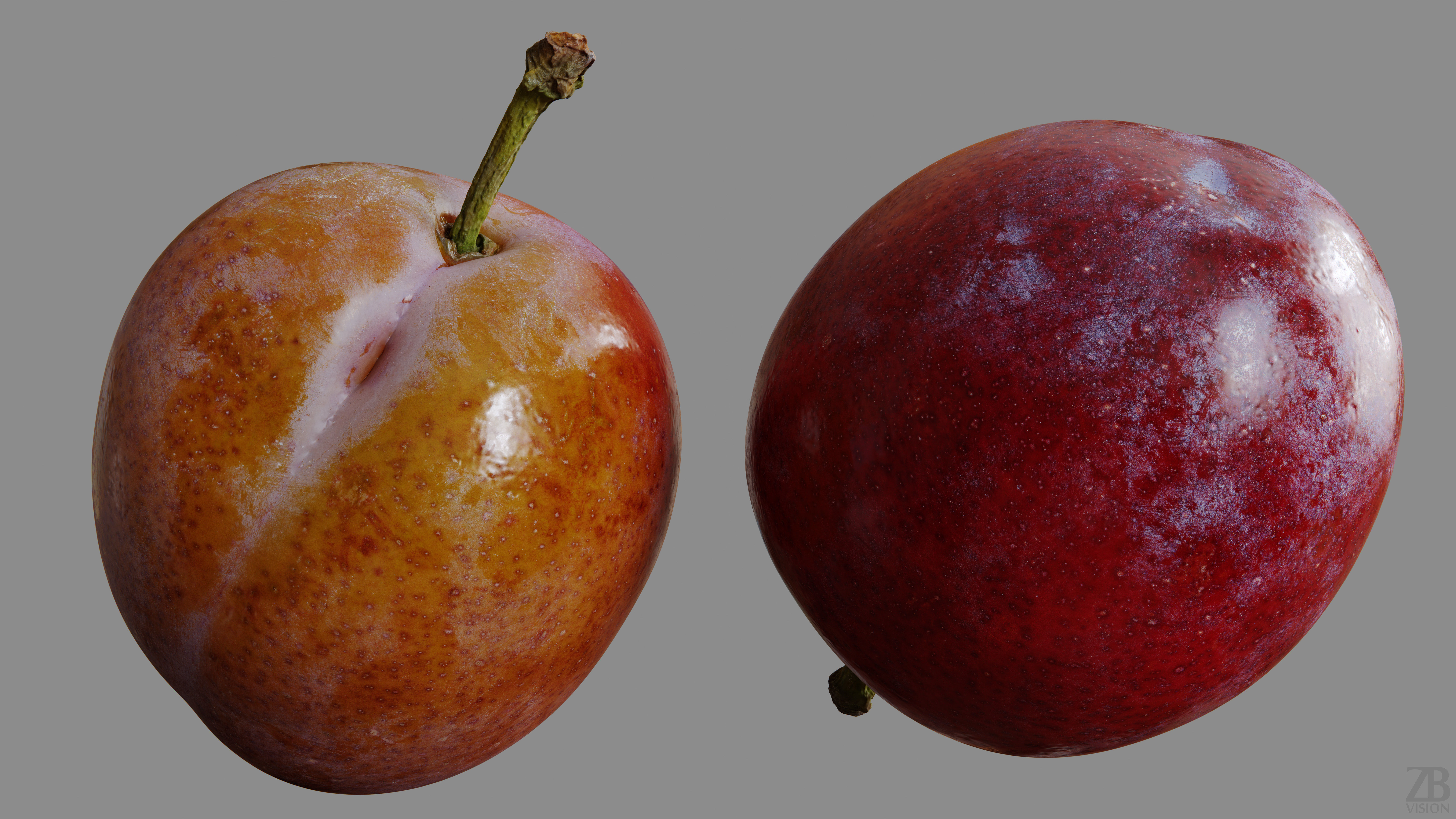 Plum  3D model_9