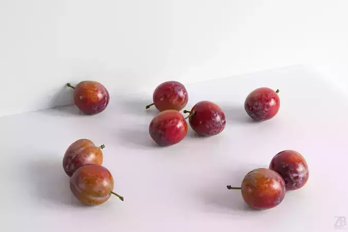Plum  3D model