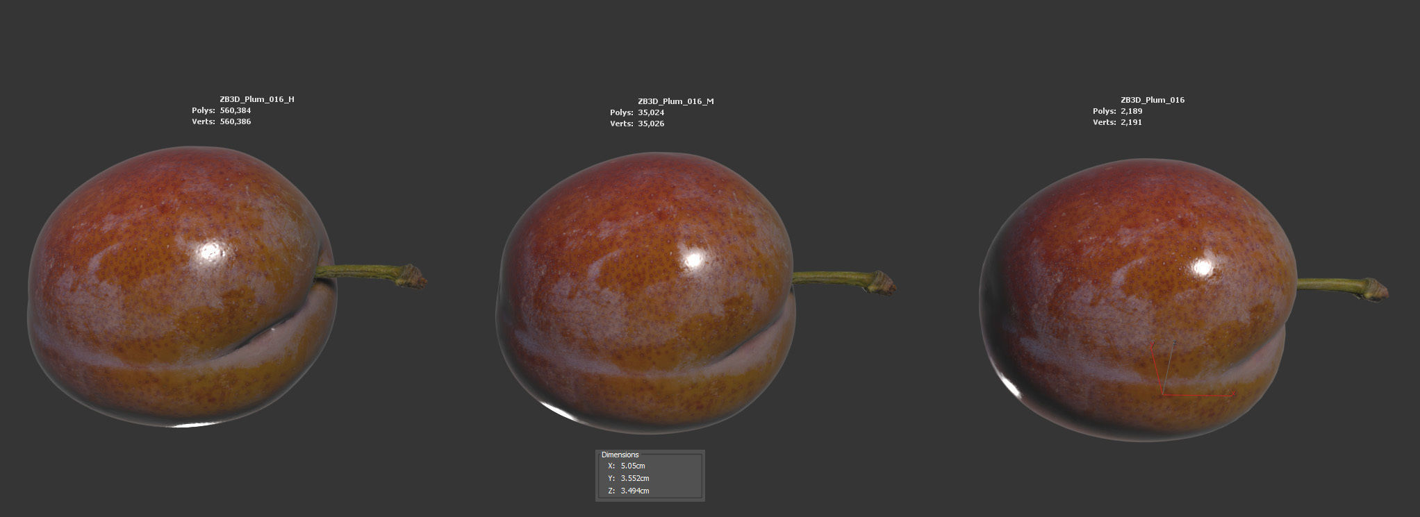 Plum  3D model_5
