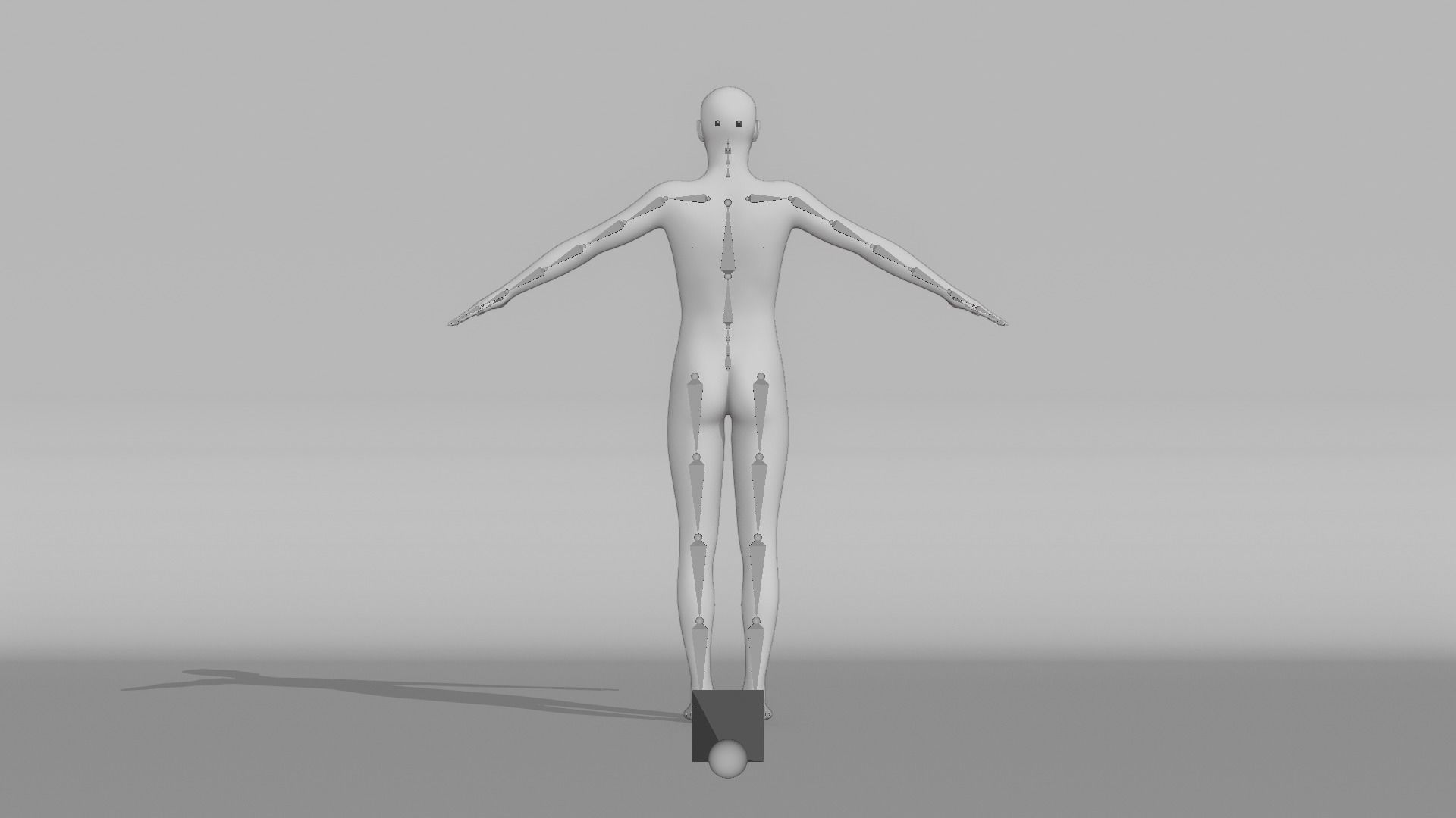 Realistic Male - Brian 3D model_13