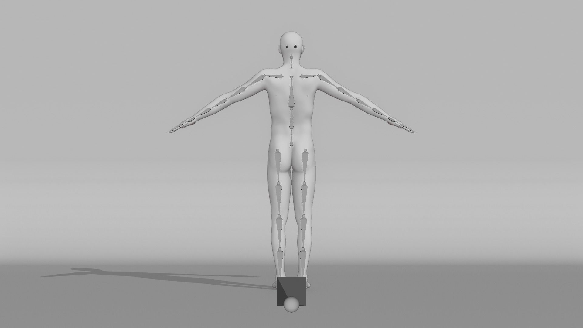 Realistic Male - Hank 3D model_13