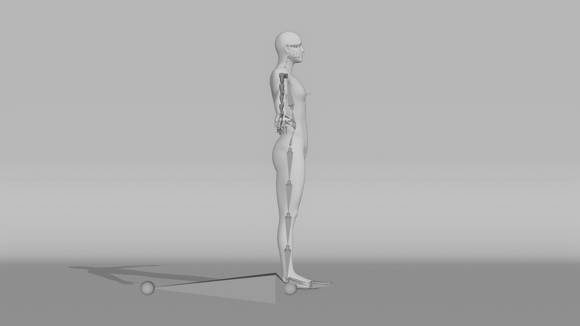 Realistic Male - Hank 3D model_12