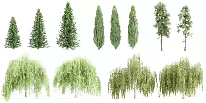 Different types of trees collection vol 1-Blender 