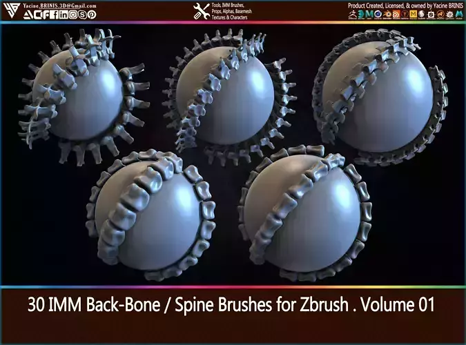 30 IMM Back-Bone - Spine ZBrush Brush Volume 01