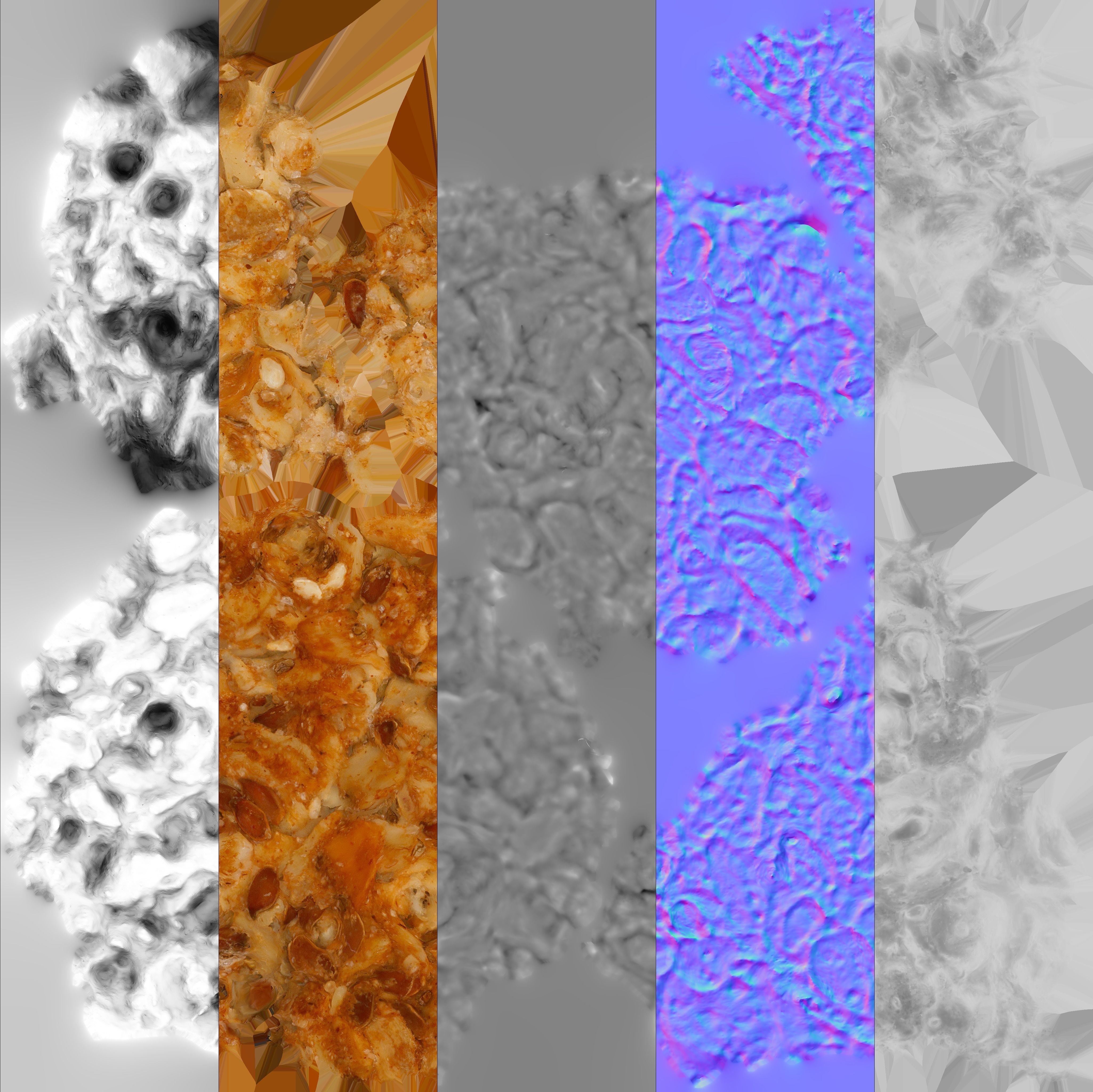 Cookie - 3d Scan Low-poly 3D model_14