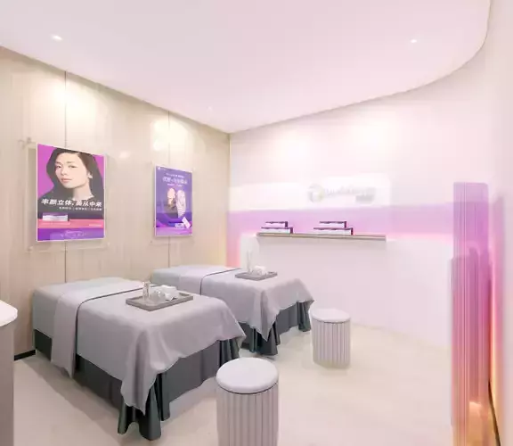 Modern Beauty Salon Room Private 3D model